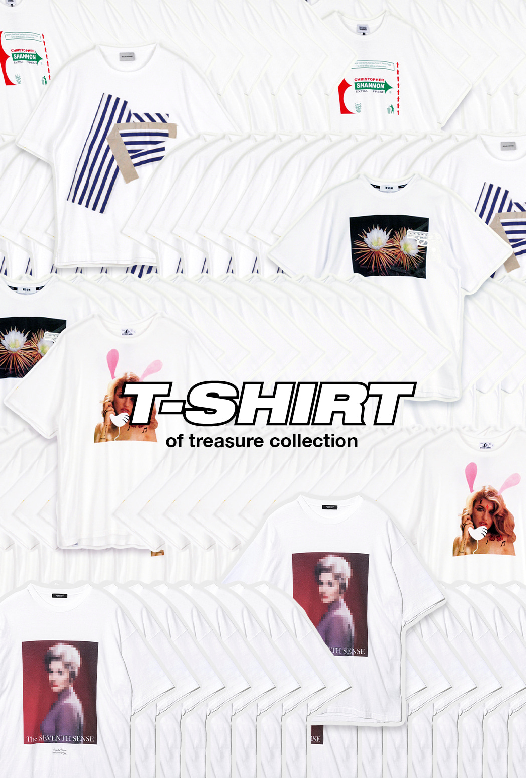 T-SHIRT of treasure collection